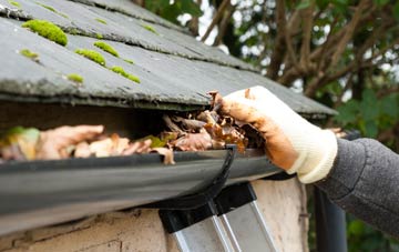 gutter cleaning Dalshannon, North Lanarkshire