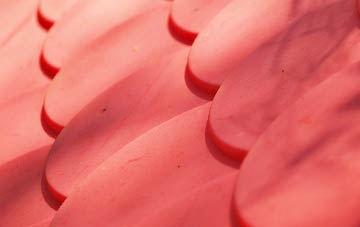 Dalshannon plastic roof costs