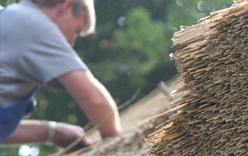 professional Dalshannon thatchers